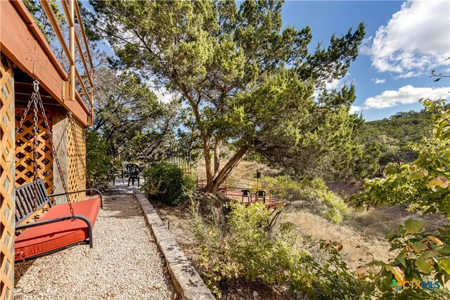 view of yard featuring a patio area