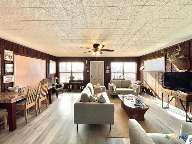 living room with light hardwood / wood-style flooring, wooden walls, and plenty of natural light