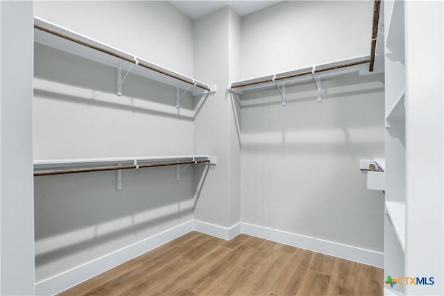 spacious closet featuring hardwood / wood-style flooring