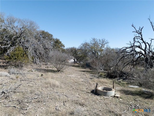 3041 Fm 1113, Copperas Cove, TX 76522 - view of local wilderness