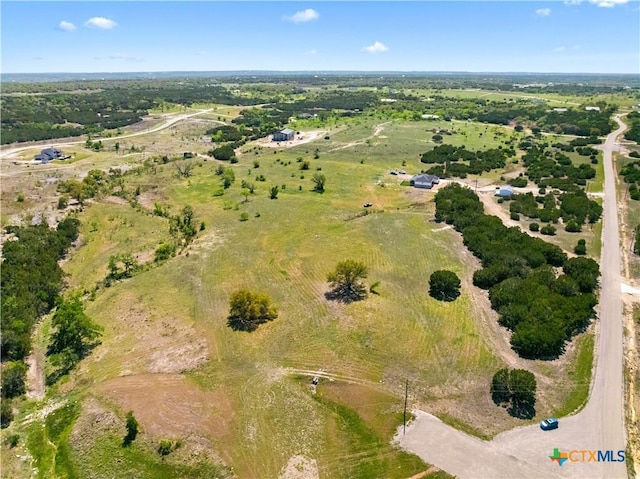 173 Jayhawk Ct, Burnet, TX 78611 - photo 16