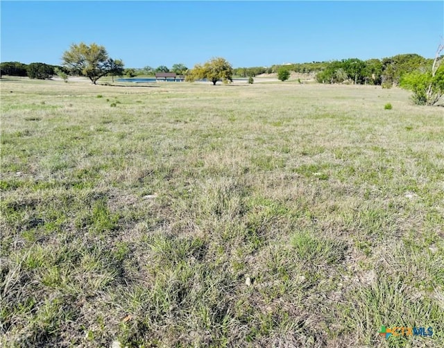 173 Jayhawk Ct, Burnet, TX 78611 - photo 6