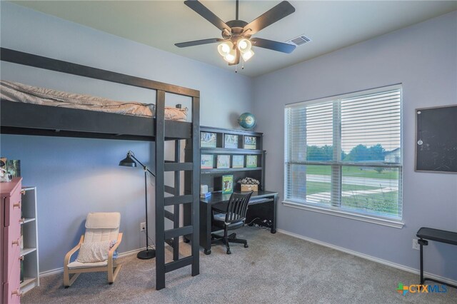 5227 Limousin Dr, Belton, TX 76513 - photo 21