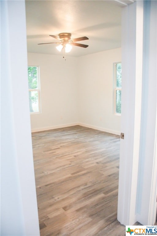 unfurnished room with light hardwood / wood-style flooring and ceiling fan