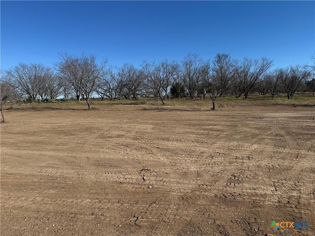 view of yard with a rural view