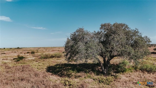5509 Fm 444 N, Inez, TX 77968 - photo 8
