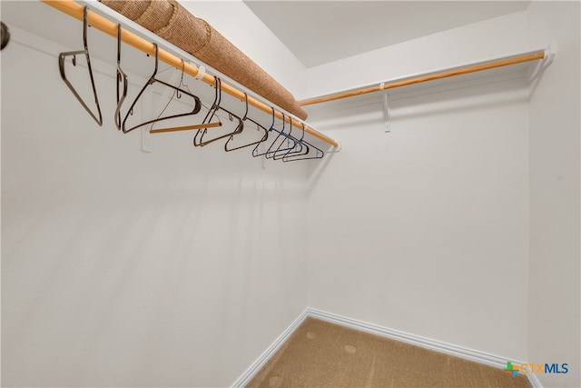 spacious closet with carpet floors