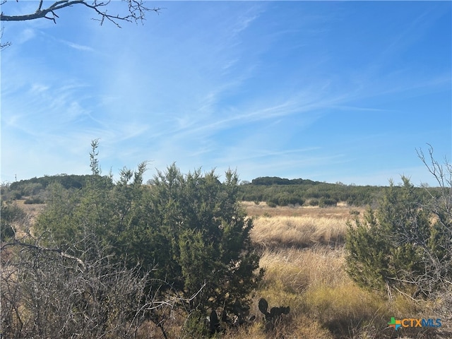 Listing photo 3 for TBD Bcr 101, Lampasas TX 76550