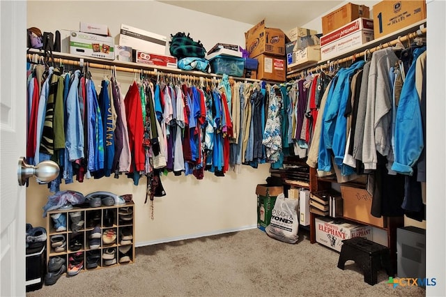 walk in closet with carpet floors