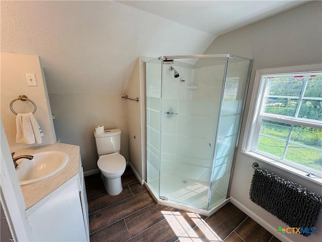 bathroom featuring vanity, lofted ceiling, radiator heating unit, a wealth of natural light, and a shower with shower door