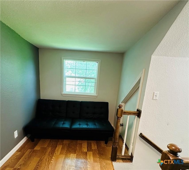 living area featuring wood-type flooring