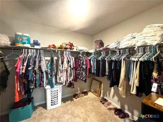 walk in closet with carpet flooring