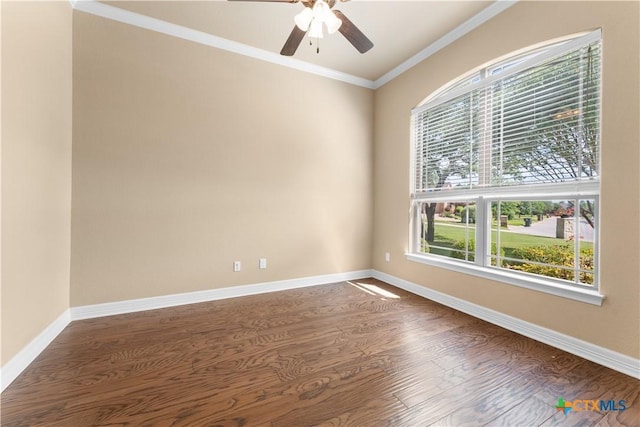 11717 Caleigh Anne Dr, Belton, TX 76513 - photo 7