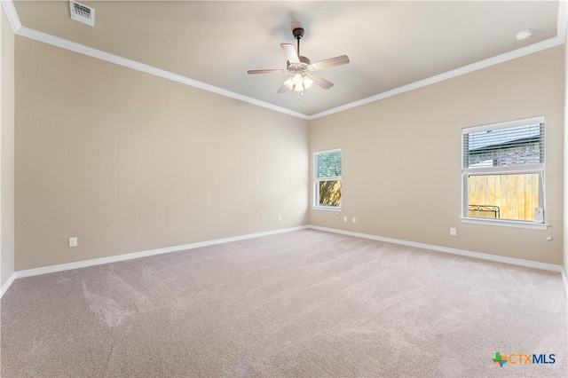 11717 Caleigh Anne Dr, Belton, TX 76513 - photo 18