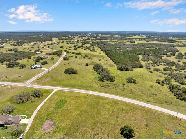 LOT90 Blackbuck Ridge Dr, Lampasas, TX 76550 - photo 5