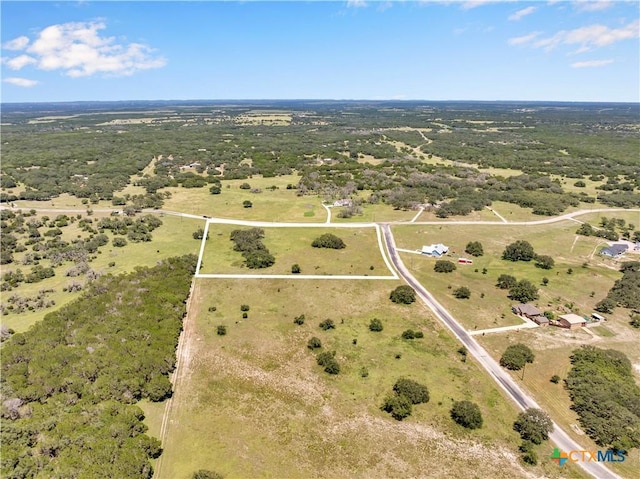 LOT90 Blackbuck Ridge Dr, Lampasas, TX 76550 - photo 2