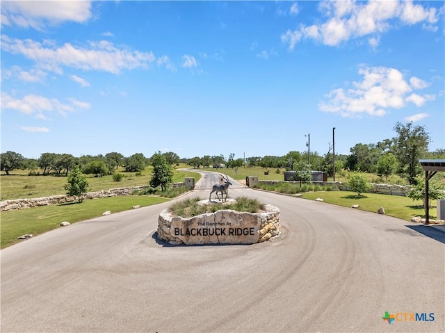 LOT90 Blackbuck Ridge Dr, Lampasas, TX 76550 - photo 1