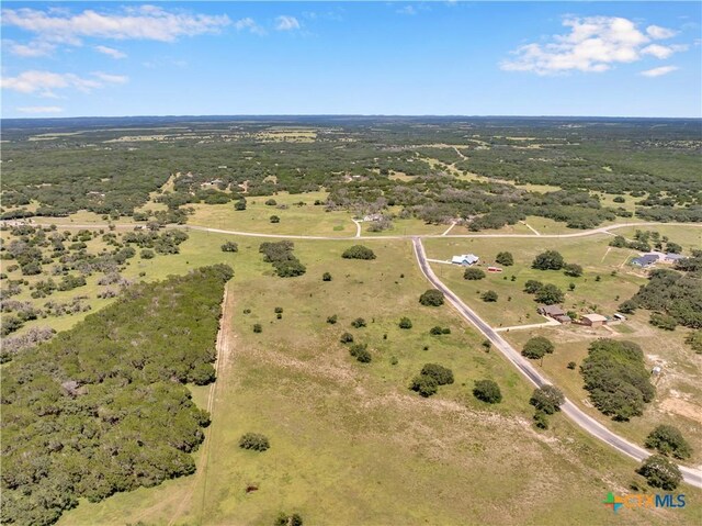 LOT90 Blackbuck Ridge Dr, Lampasas, TX 76550 - photo 6