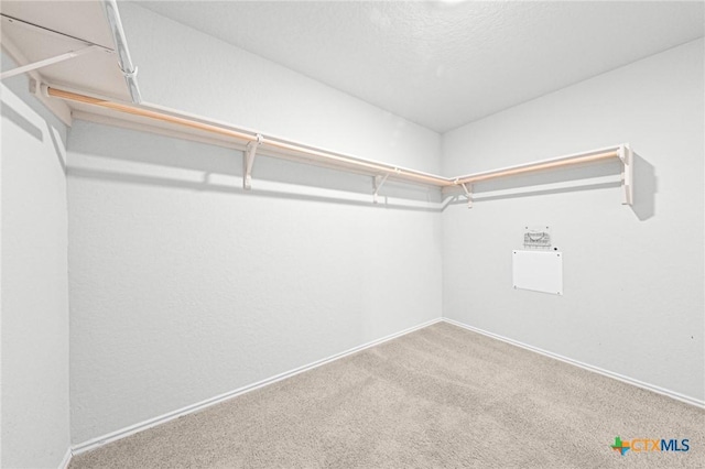 813 Indigo Way, Seguin, TX 78155 - walk in closet featuring carpet flooring