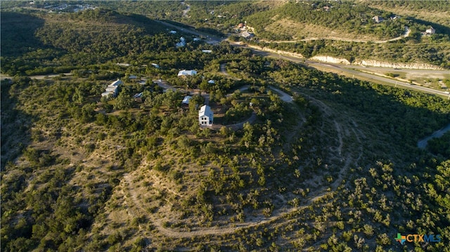 bird's eye view