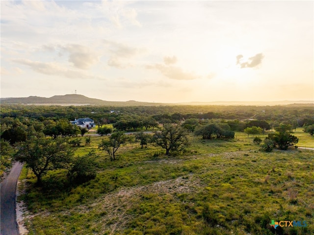 29720 Twin Creeks Dr, Bulverde, TX 78163 - view of mountain background