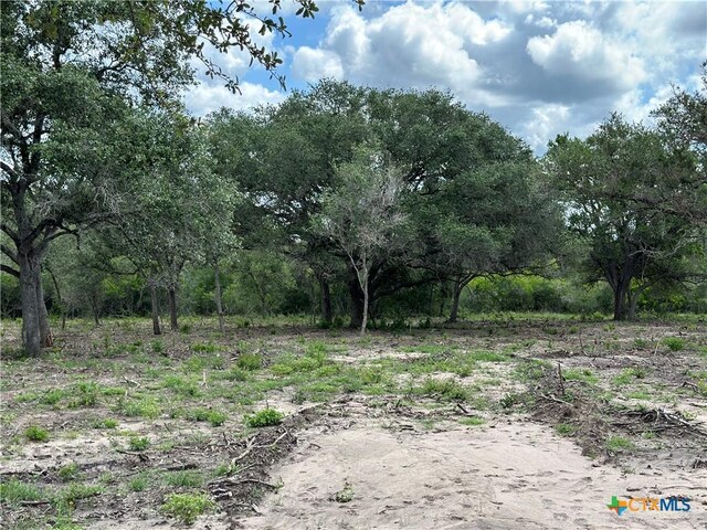 1776 Fm 1351, Goliad, TX 77963