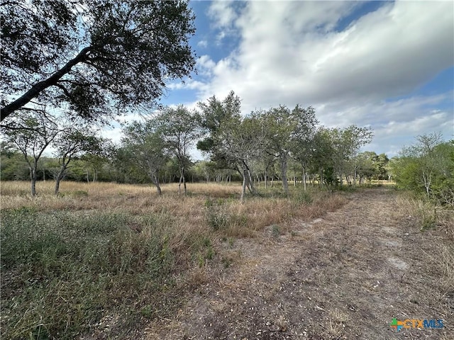 1776 Fm 1351, Goliad, TX 77963