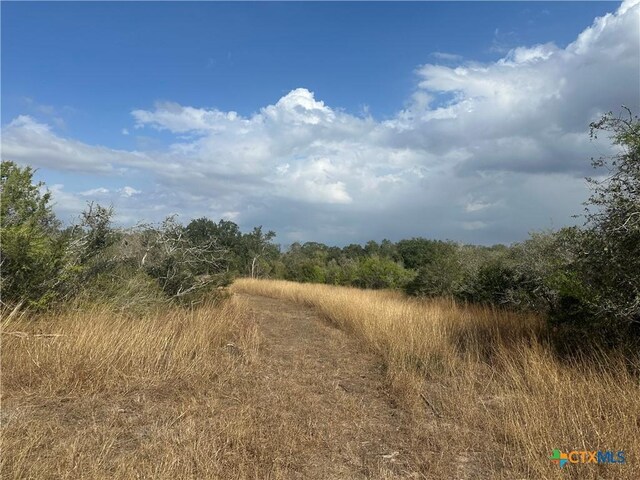 1776 Fm 1351, Goliad, TX 77963