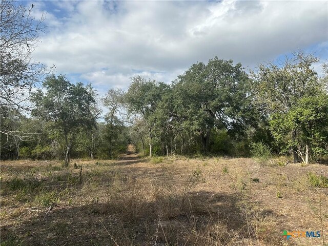 1776 Fm 1351, Goliad, TX 77963