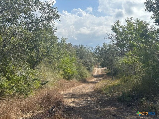 1776 Fm 1351, Goliad, TX 77963