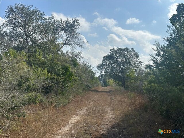 1776 Fm 1351, Goliad, TX 77963