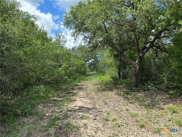 1776 Fm 1351, Goliad, TX 77963
