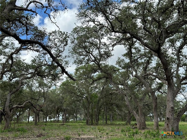 1776 Fm 1351, Goliad, TX 77963