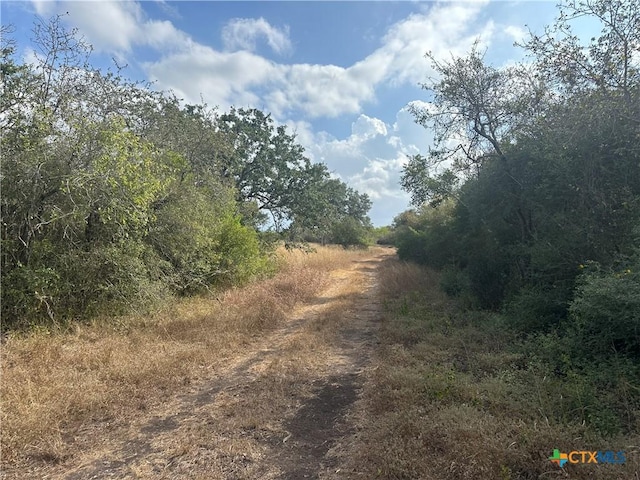 1776 Fm 1351, Goliad, TX 77963