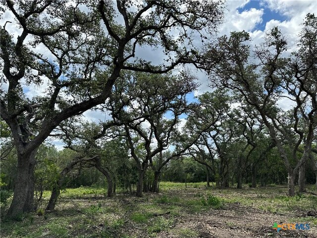 1776 Fm 1351, Goliad, TX 77963