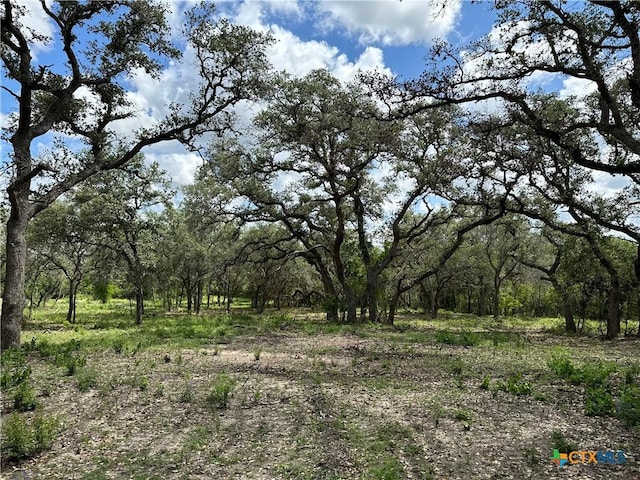 1776 Fm 1351, Goliad, TX 77963