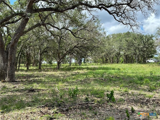 1776 Fm 1351, Goliad, TX 77963