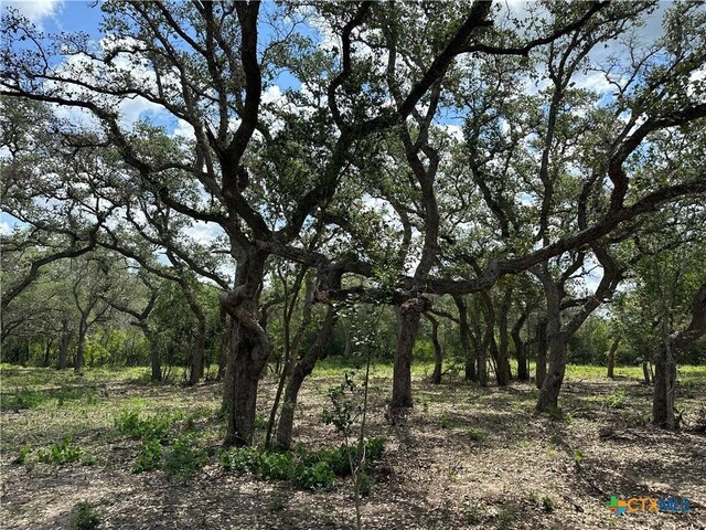 1776 Fm 1351, Goliad, TX 77963