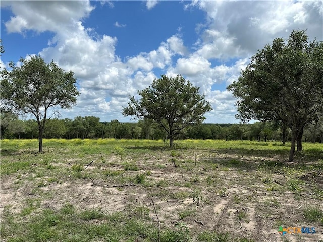 1776 Fm 1351, Goliad, TX 77963