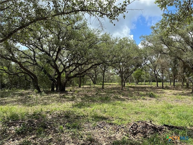 1776 Fm 1351, Goliad, TX 77963