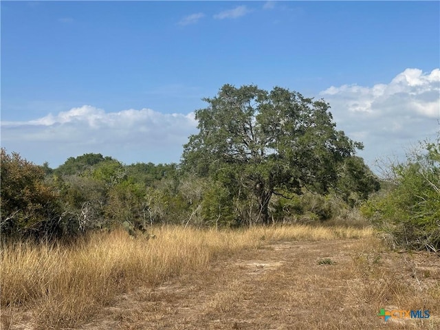 1776 Fm 1351, Goliad, TX 77963