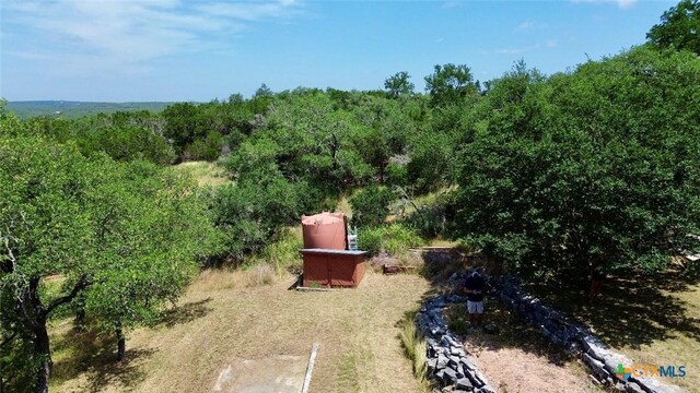 1795 Falconwood Dr, San Marcos, TX 78666 - view of yard featuring a wooded view