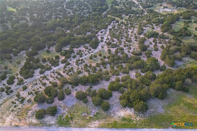 TBD High Point Dr, Kempner, TX 76539