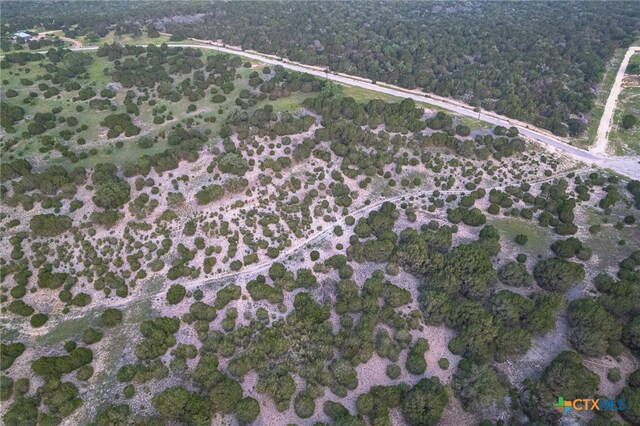 TBD High Point Dr, Kempner, TX 76539