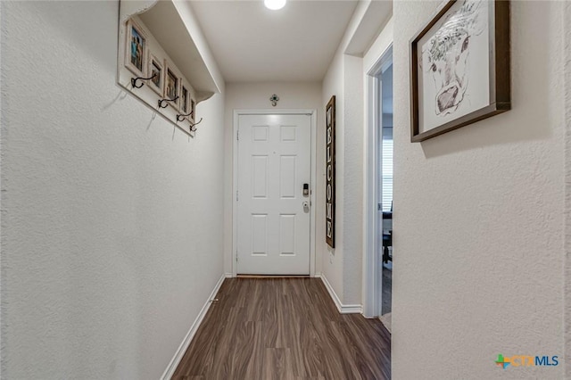 hall featuring dark wood-type flooring