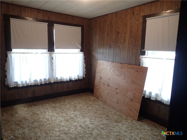 spare room with carpet floors and wood walls