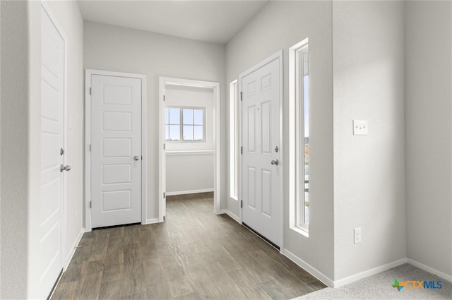 entryway with hardwood / wood-style floors