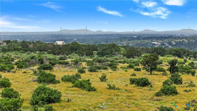 650 One River Point Dr, Johnson City TX, 78636 land for sale