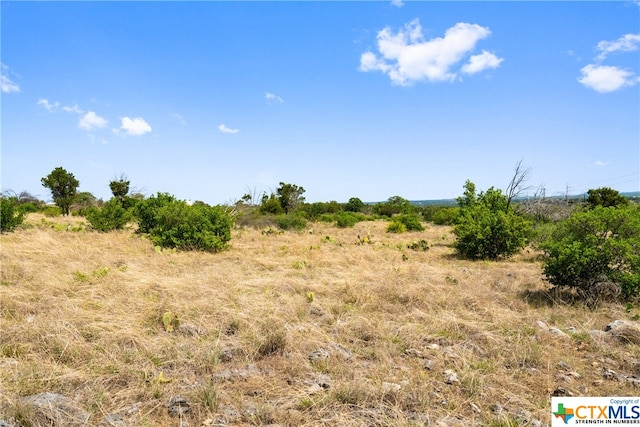 650 One River Point Dr, Johnson City, TX 78636 - photo 15