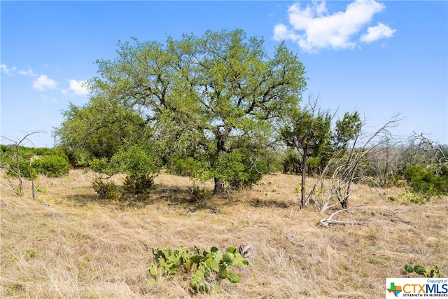 650 One River Point Dr, Johnson City, TX 78636 - photo 10